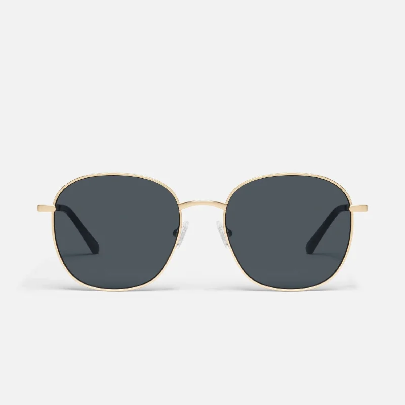 Unisex Jezabell Sunglasses In Gold/smoke